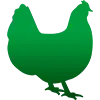 đá gà
